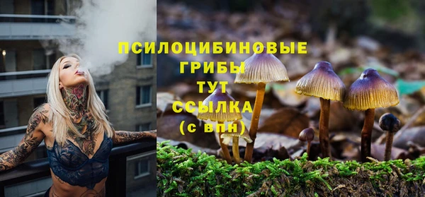 молекула духа Магадан