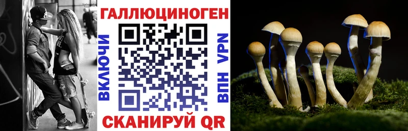 Псилоцибиновые грибы Magic Shrooms  Шимановск 